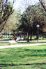 Stradon del Vin Friularo - parco